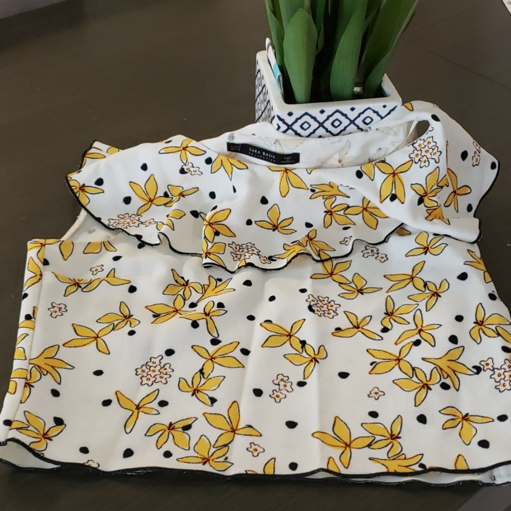 Zara basic collections